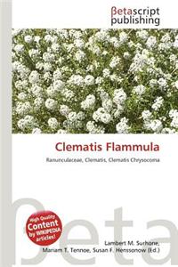 Clematis Flammula
