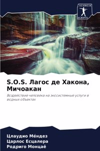 S.O.S. Лагос де Хакона, Мичоакан