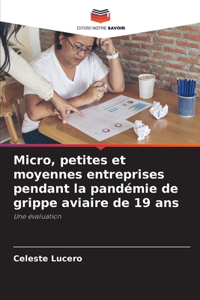 Micro, petites et moyennes entreprises pendant la pandémie de grippe aviaire de 19 ans