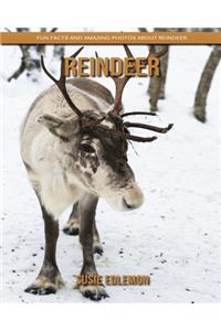 Reindeer