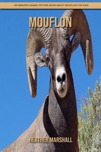 Mouflon