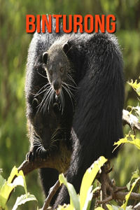 Binturong