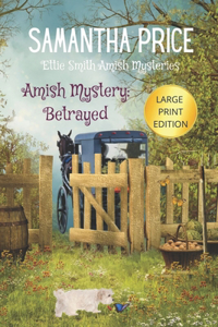 Amish Mystery