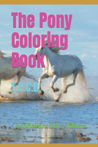 Pony Coloring Book
