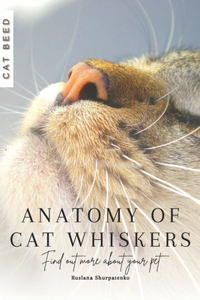 Anatomy of Cat Whiskers