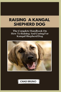 Kangal Shepherd Dog