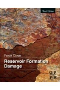 Reservoir Formation Damage