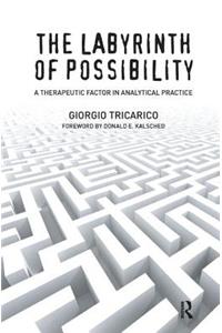 Labyrinth of Possibility