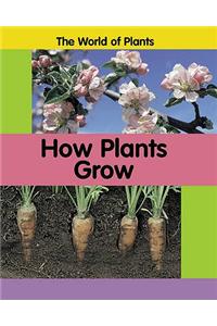 How Plants Grow