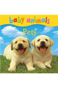 Baby Animals: Pets