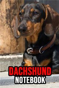 Dachshund Notebook