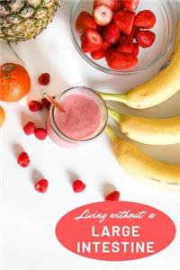 Living Without a Large Intestine