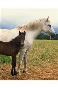 Horse Photo School Composition Book Equine White Mare Bay Foal