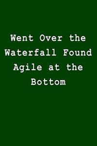 Went Over the Waterfall Found Agile at the Bottom