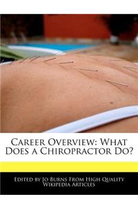Career Overview