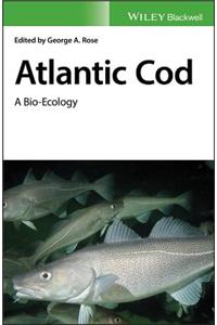 Atlantic Cod