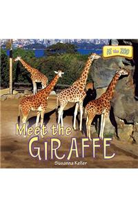 Meet the Giraffe