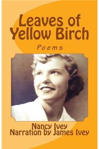 Leaves of Yellow Birch