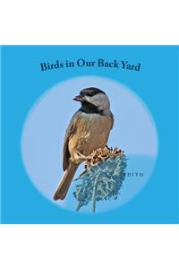 Birds in Our Back Yard