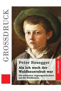 Als ich noch der Waldbauernbub war (Großdruck)