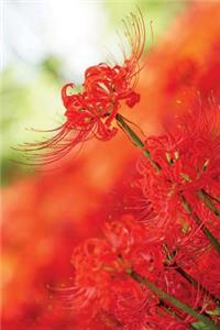 Red Spider Lily Journal