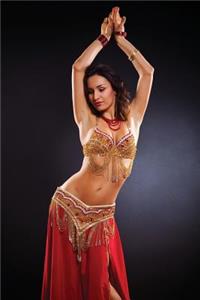 Belly Dancer Journal