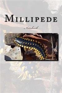 Millipede Notebook