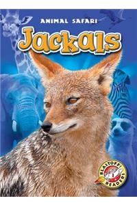 Jackals