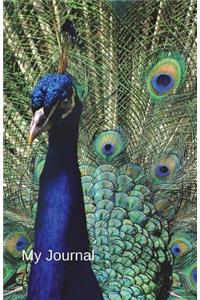 My Journal