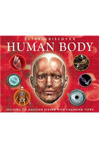 Slide and Discover: Human Body