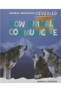 How Animals Communicate