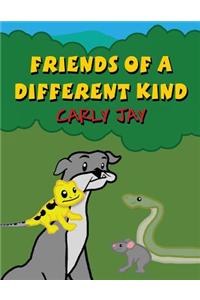 Friends of a Different Kind
