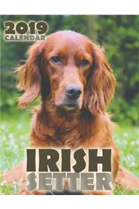Irish Setter 2019 Calendar