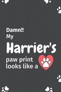 Damn!! my Harrier's paw print looks like a