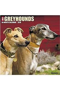 Just Greyhounds 2018 Wall Calendar (Dog Breed Calendar)
