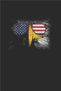 Eagle USA Sunglasses