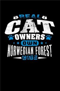 Real Cat Owners Own Norwegian Forest Cats
