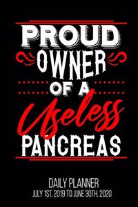 Proud Owner Of A Useless Pancreas Daily Planner July 1st, 2019 To June 30th, 2020