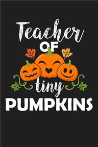 Teacher Of Tiny Pumpkins