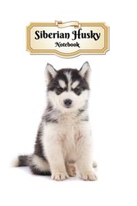 Siberian Husky Notebook