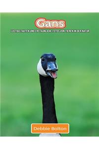 Gans