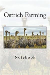 Ostrich Farming