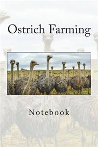 Ostrich Farming