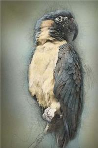 Cool Painting of a Blue and Gold Macaw Journal