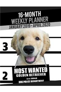 2019-2020 Weekly Planner - Most Wanted Golden Retriever