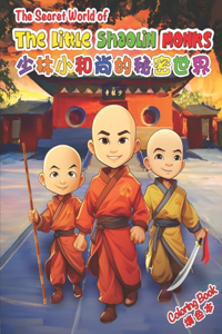 Secret World of The Little Shaolin Monks