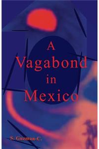 A Vagabond in Mexico