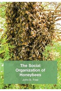 Social Organisation of Honeybees