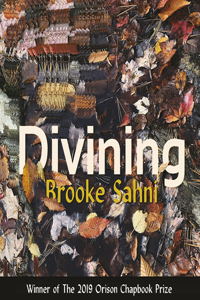 Divining