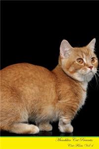 Munchkin Cat Presents